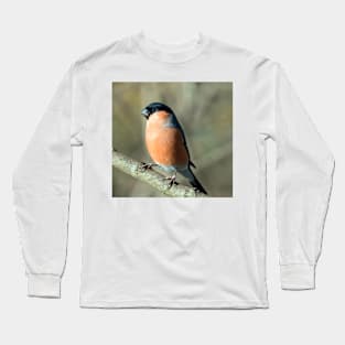 Male bullfinch Long Sleeve T-Shirt